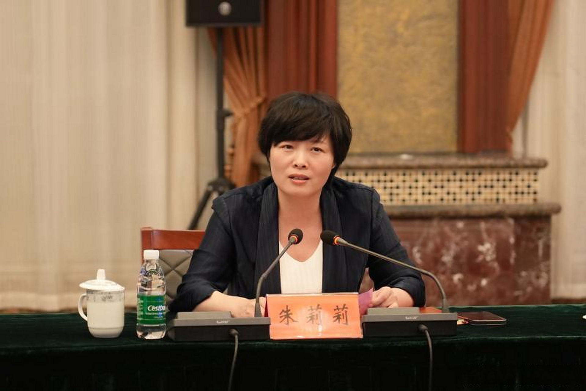 【江都城北幼儿园与市机关第一幼儿园合作办园 朱莉莉致辞 朱定金葛