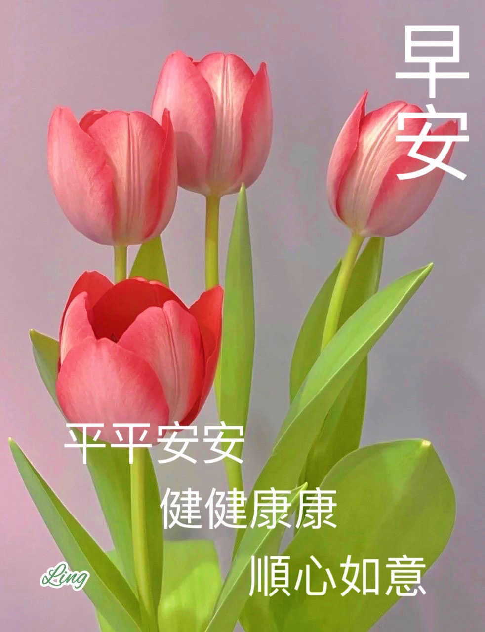 早安7815平安健康92順心如意919191 早安7815平安