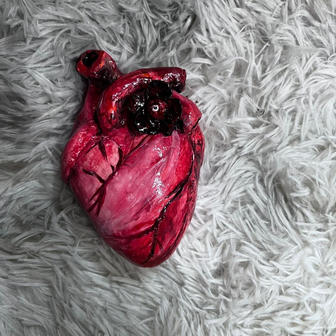 心脏模型彩泥制作图片