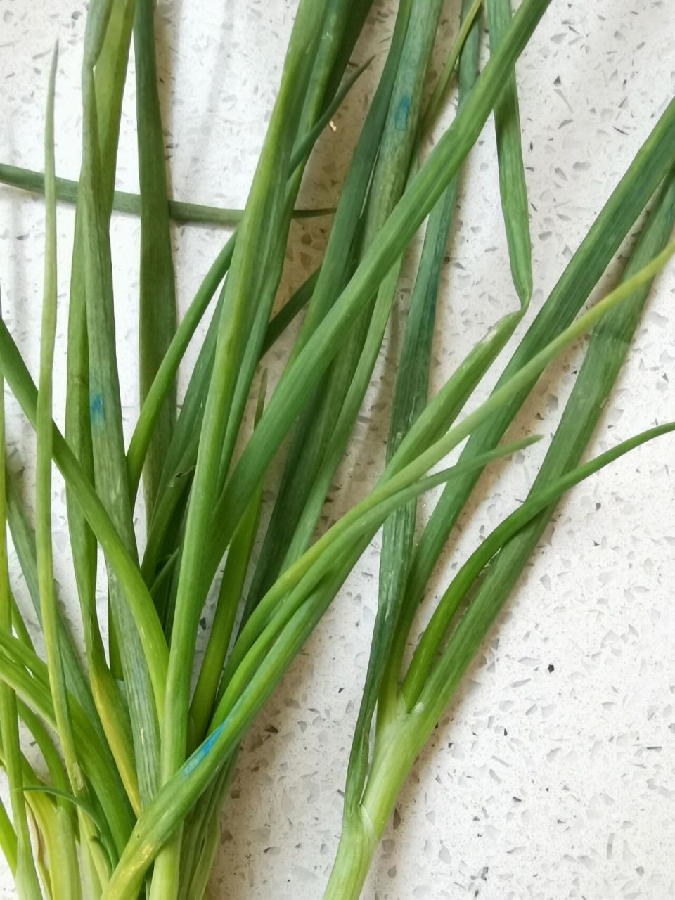 小葱上蓝色色素,保鲜剂,身体有害 买菜送的葱上蓝色色素是蓝矾,它是