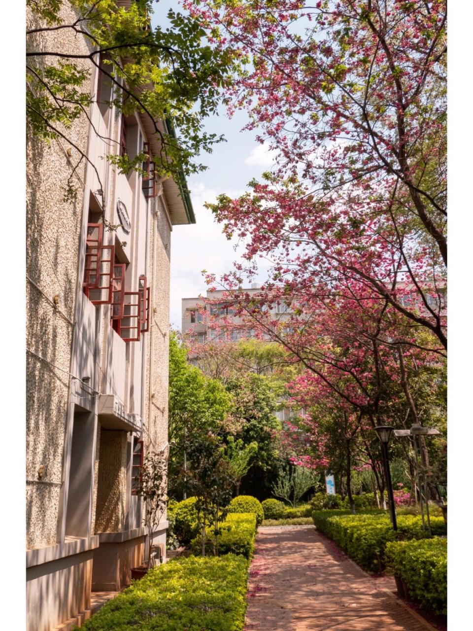 昆明city walk |换种方式打开弥勒寺公园 弥勒寺公园的风终于吹到了我