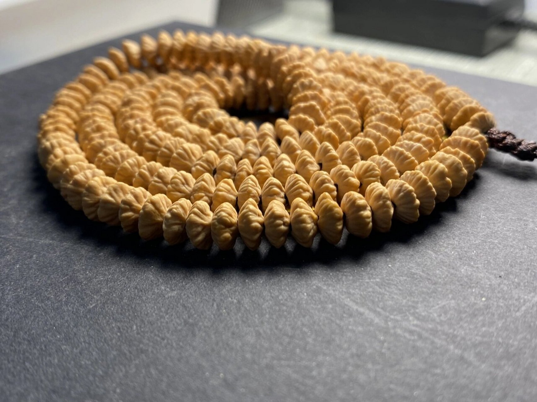 金钱子,金钱菩提 那天看直播间看到别人玩的金钱菩提,很漂亮,但是价格