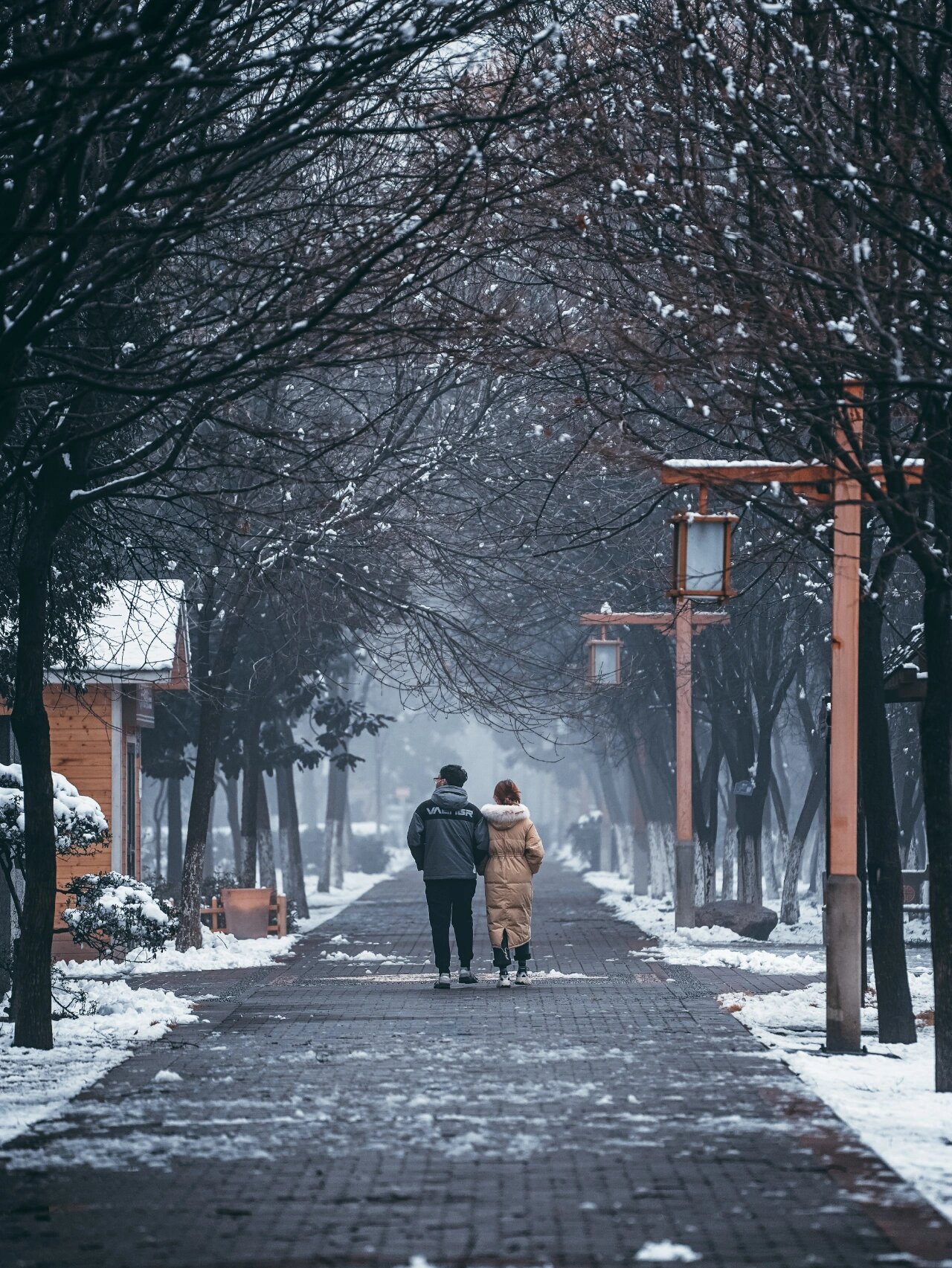 洛阳雪景