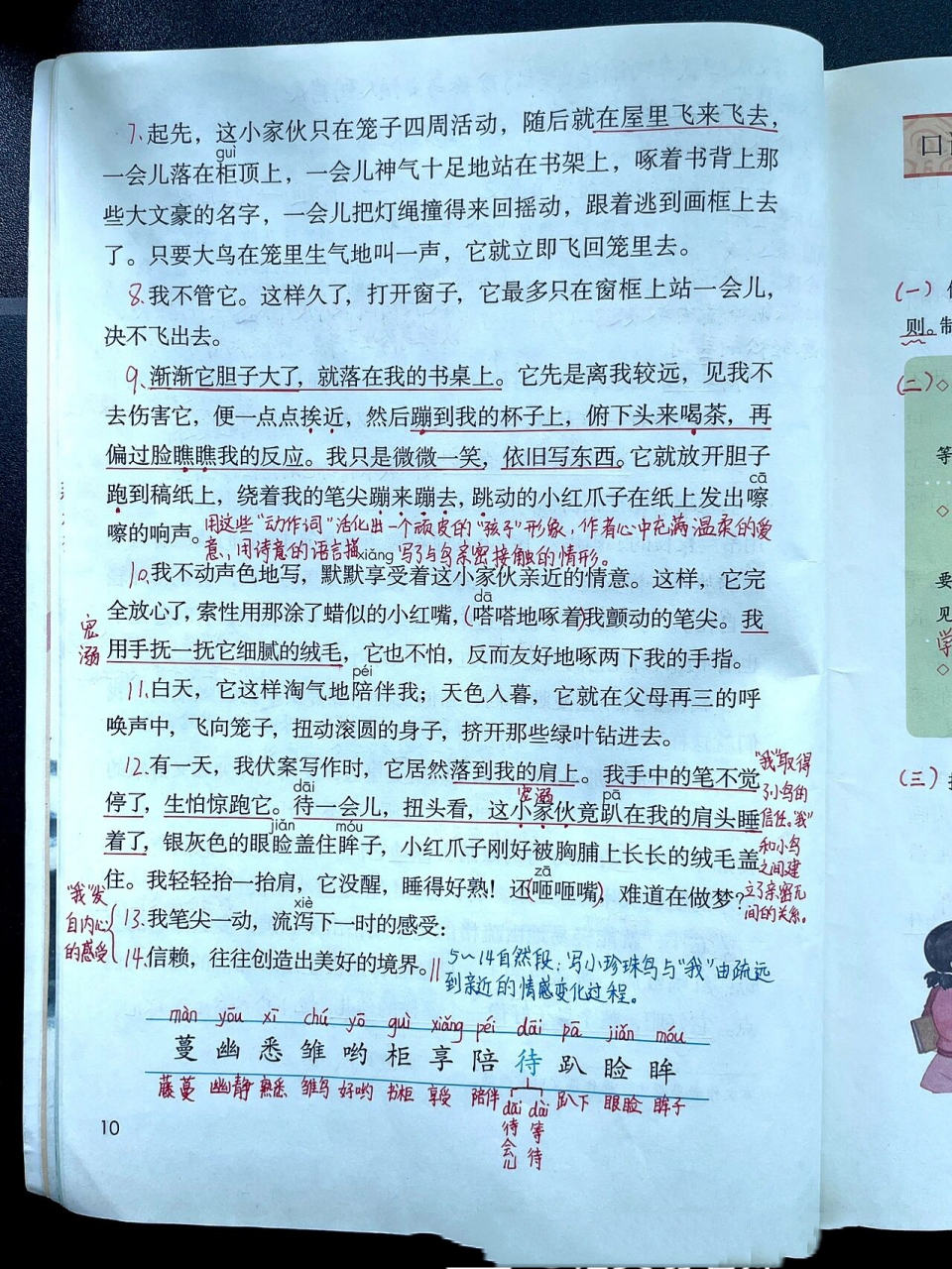 五上|五年级上册第4课《珍珠鸟》课文笔记 小学语文五年级上册第4课