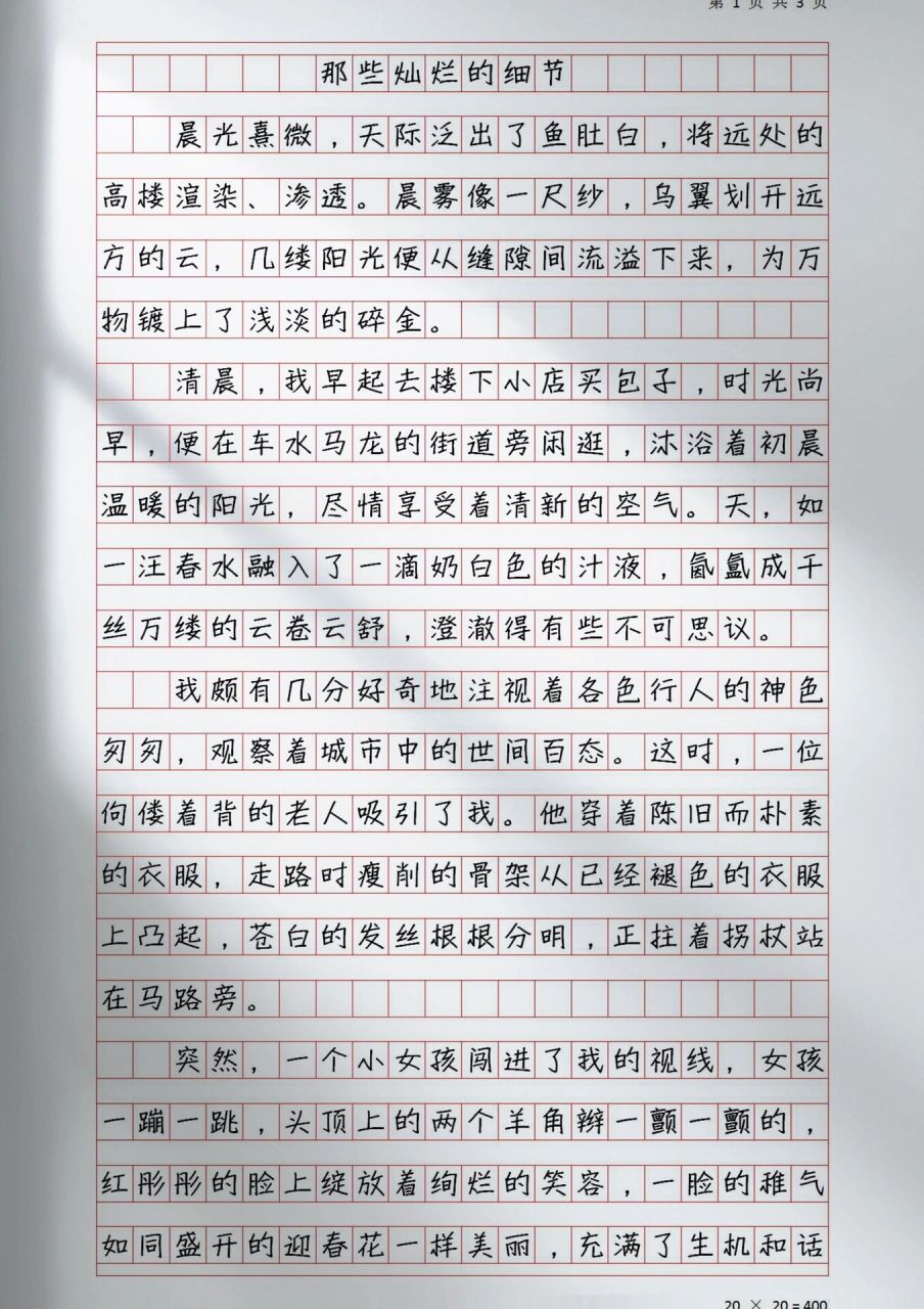 优秀高分作文《那些灿烂的细节》