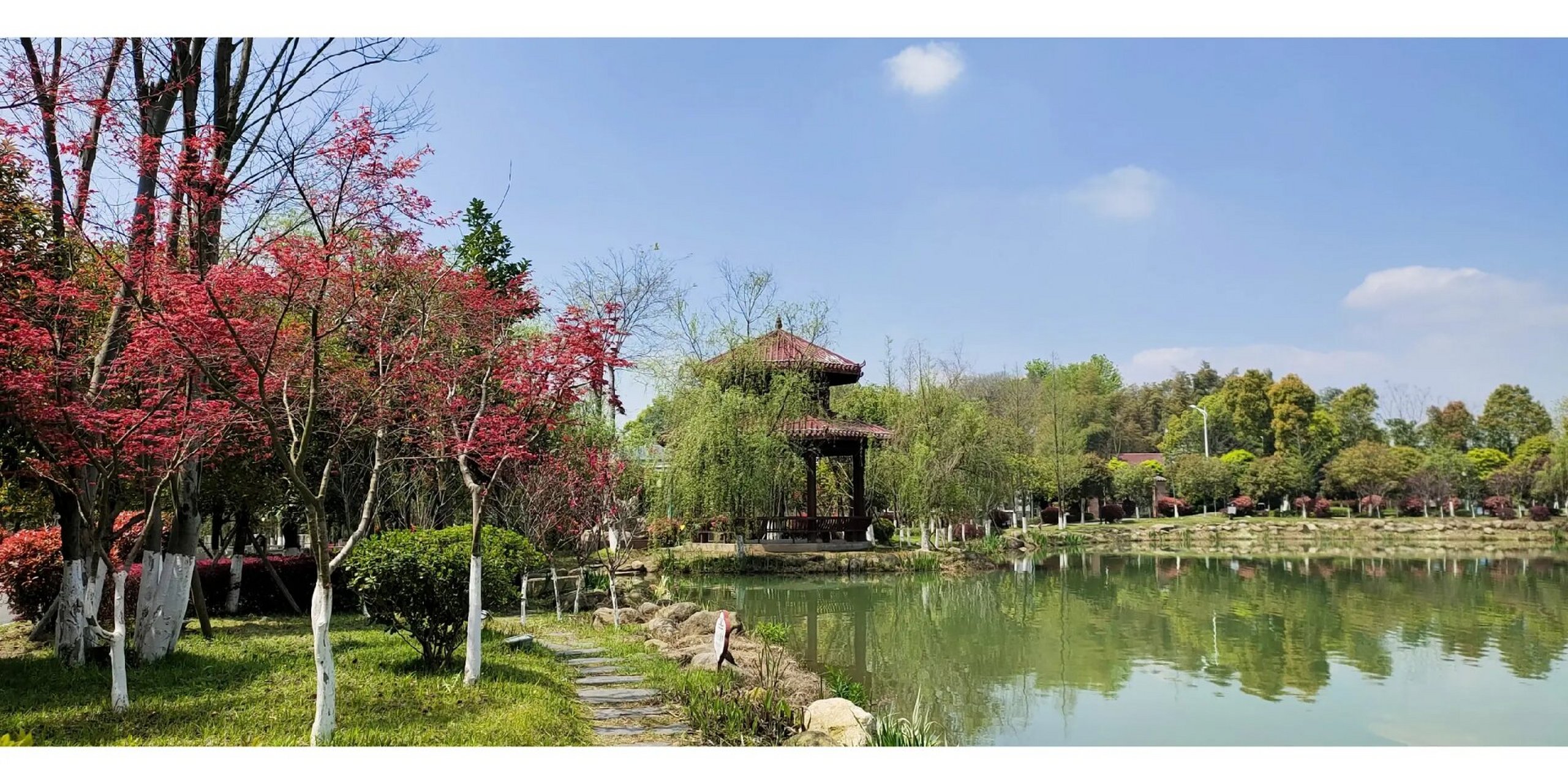 益阳紫薇村 好不容易等来的一个大晴天,出来到处走走,紫薇村景色很美