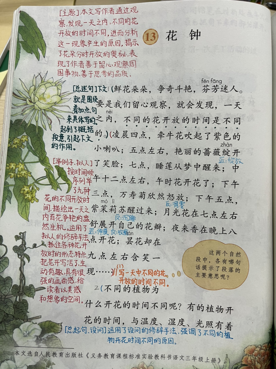 《花钟》课堂笔记图片