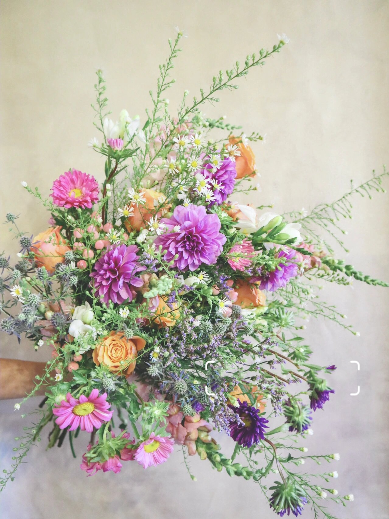 不一样的鲜切花70 | 海滨刺芹