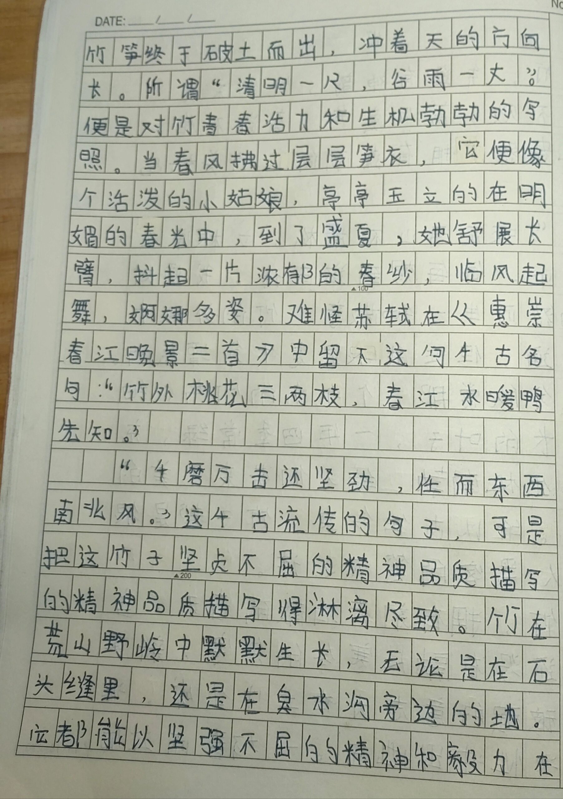 《竹子》作文