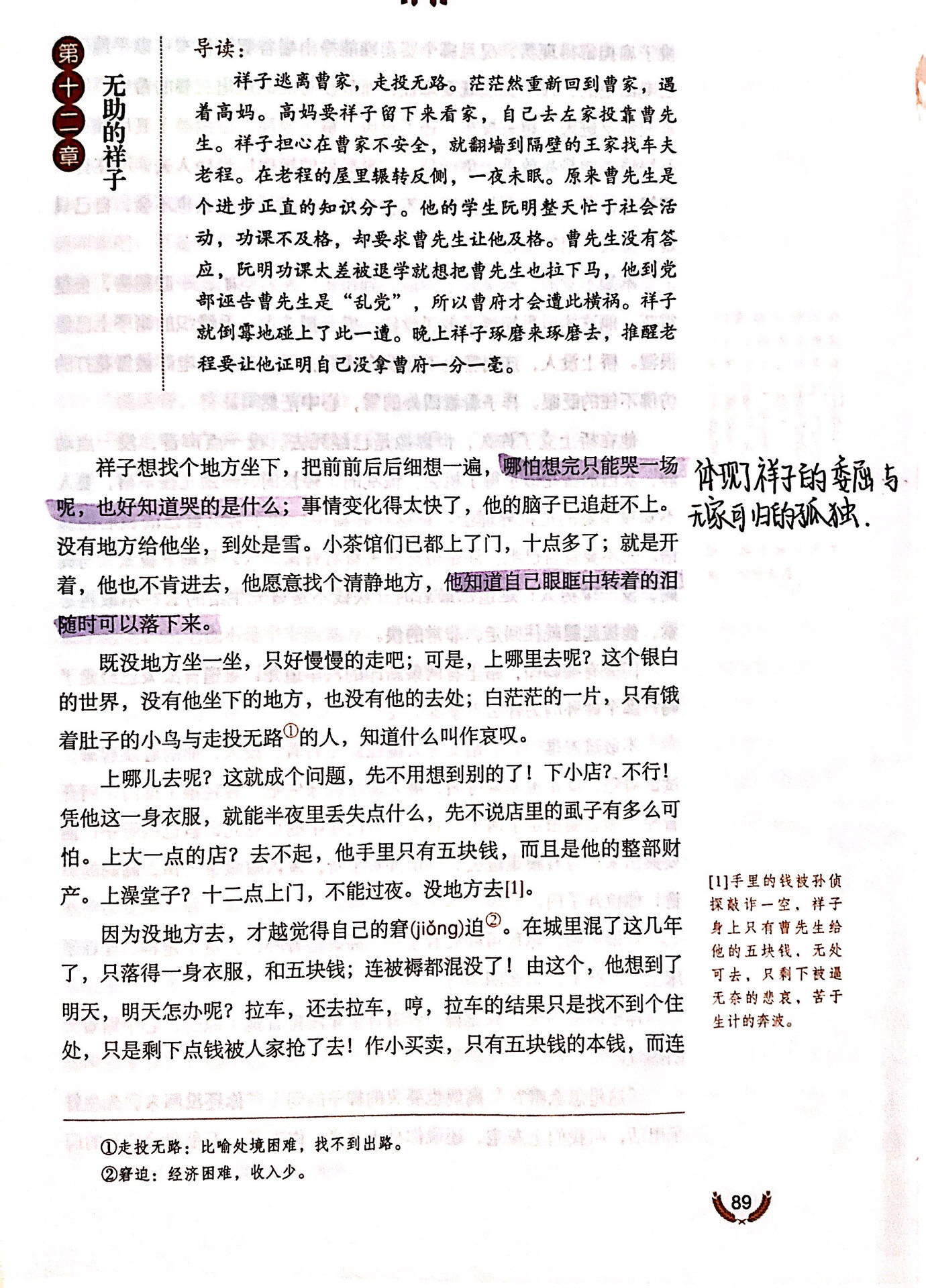 《骆驼祥子》第十二章~批注
