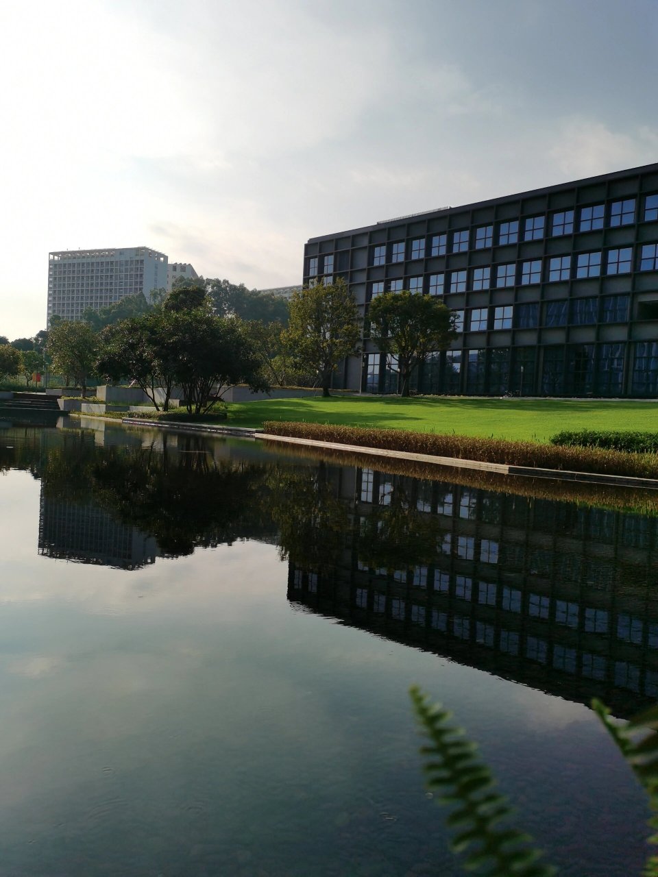 深圳大学,丽湖校区,畅享安静校园 国庆假期没出外,回深大畅享安静时光