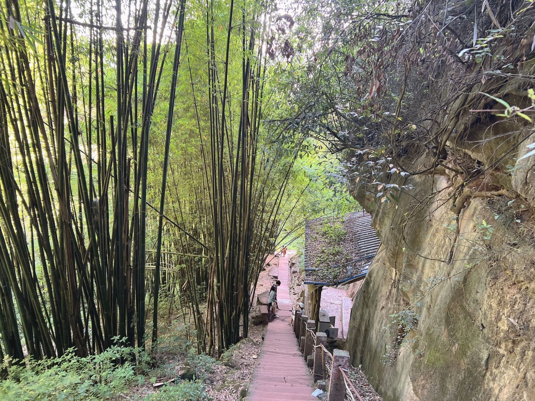 成都周边一日游宝藏景点大邑药师岩 大邑药师岩被誉为成都版的莫高窟