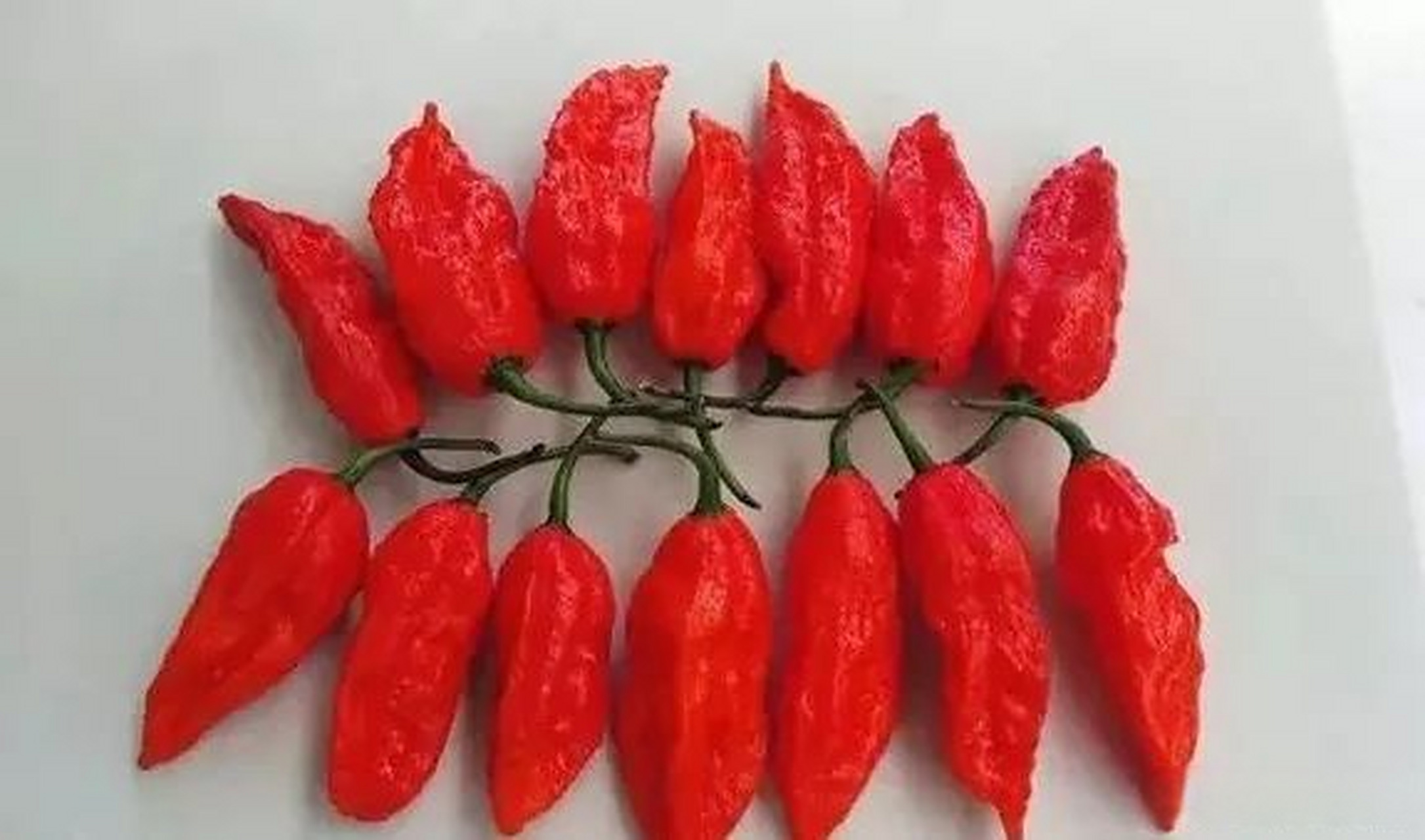 涮涮辣,是一种非常辣的辣椒.