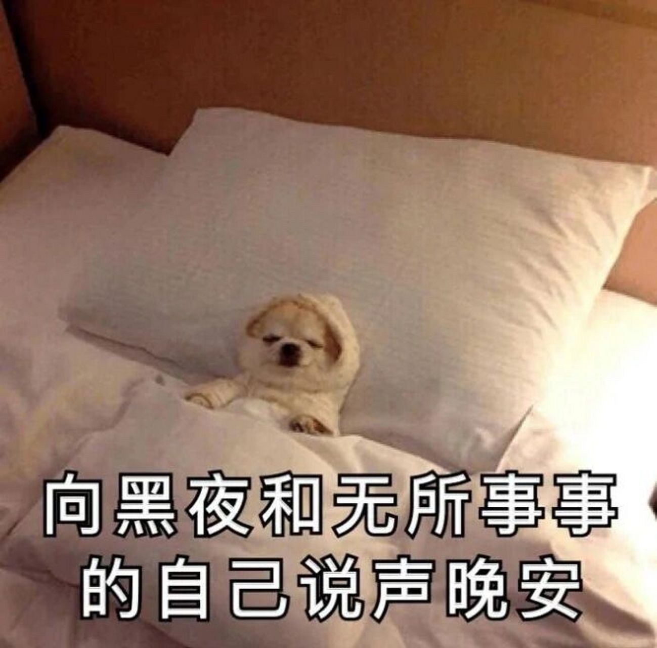 睡觉表情包 干啥啥不行,睡觉第一名