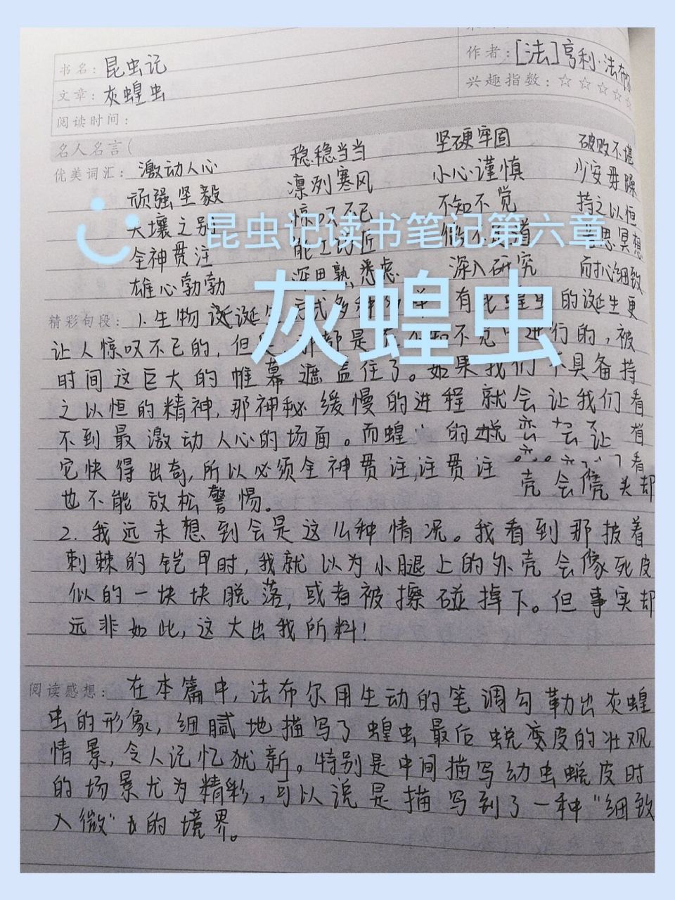 昆虫记读书笔记第六章 昆虫记读书笔记第六章――灰蝗虫999994