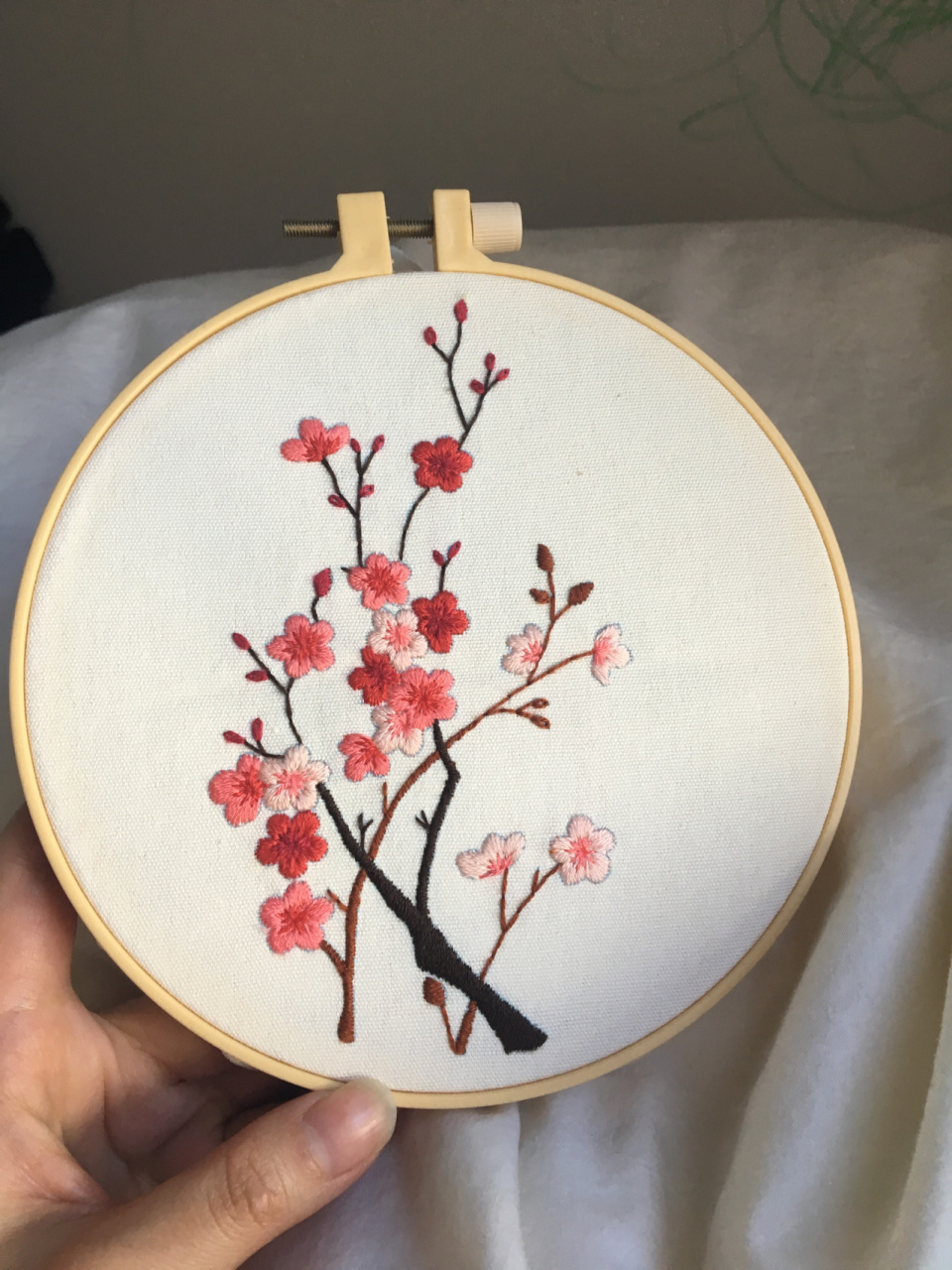 基础刺绣练习 梅花 阿卡家新手刺绣套装中的梅花,还有天竺葵还没有