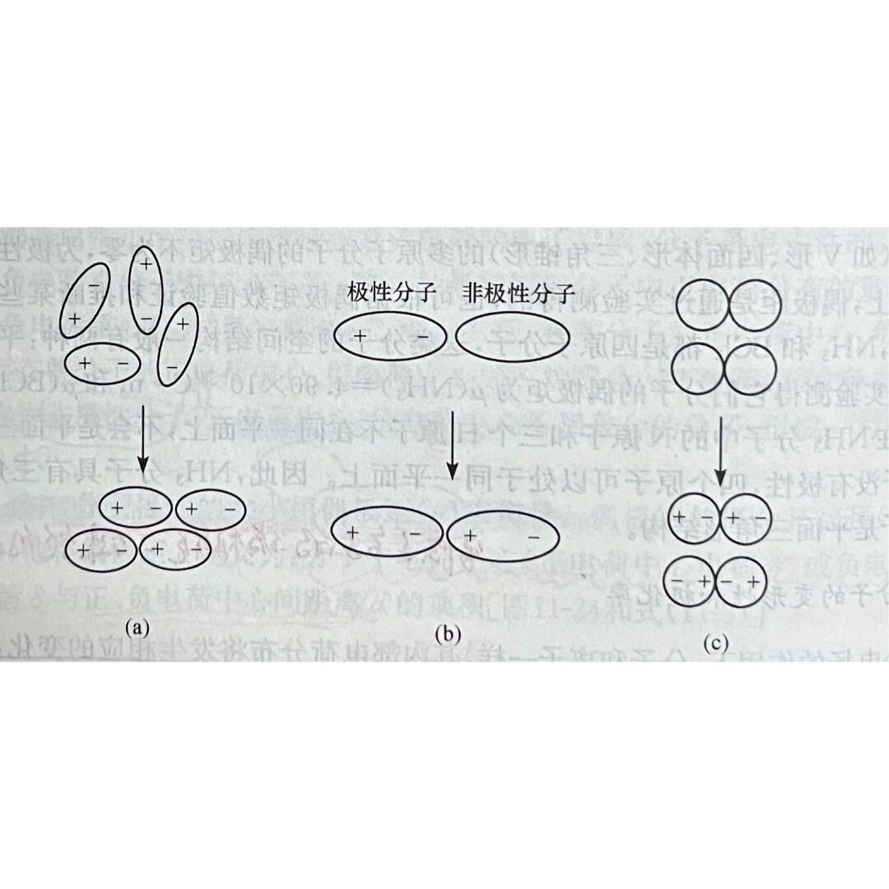 科普红人打造计划 07范德华力包括:取向力,诱导力和色散力.