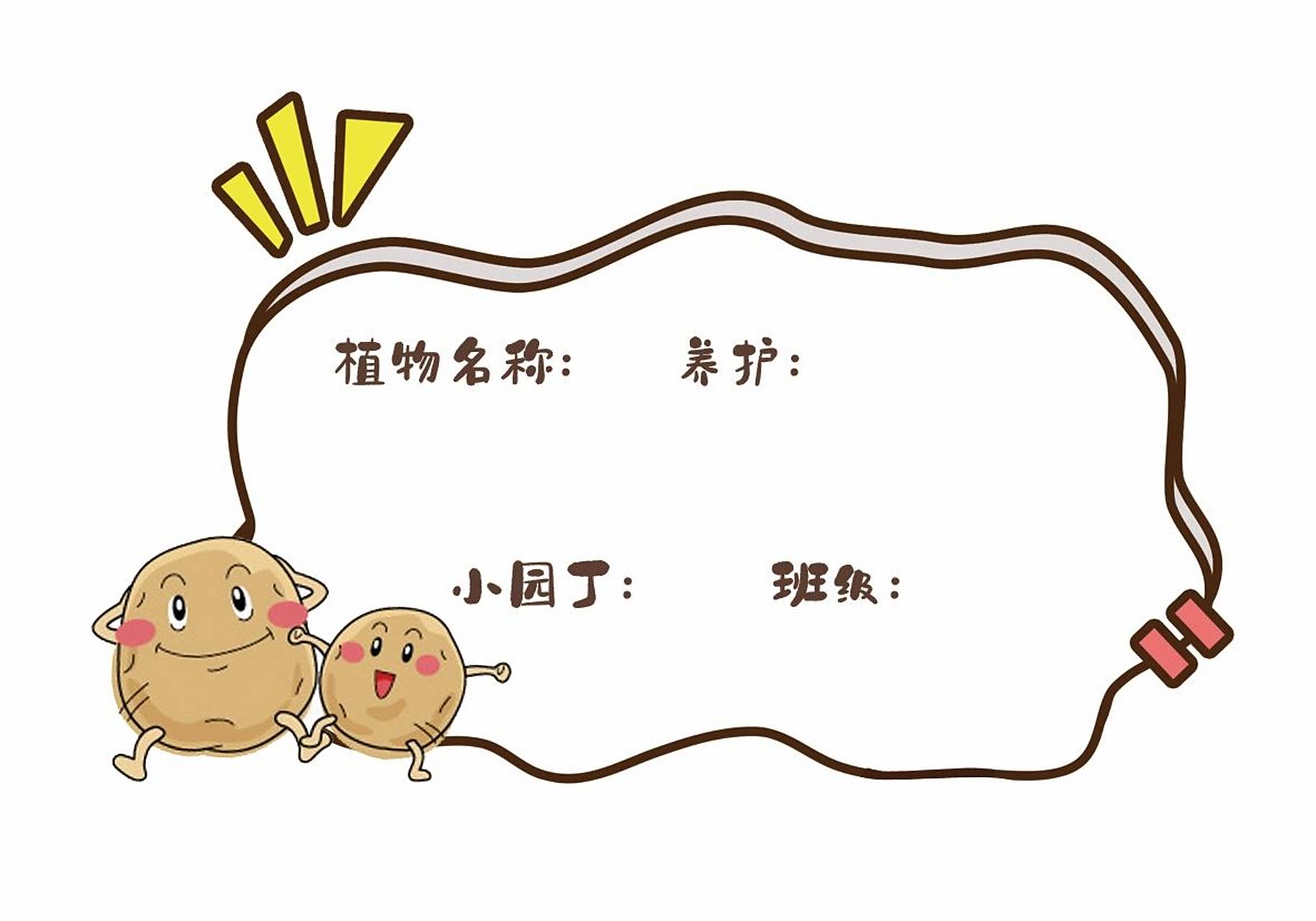 水培蔬菜们de可爱标签9515 幼儿园让小朋友观察植物的生长过程