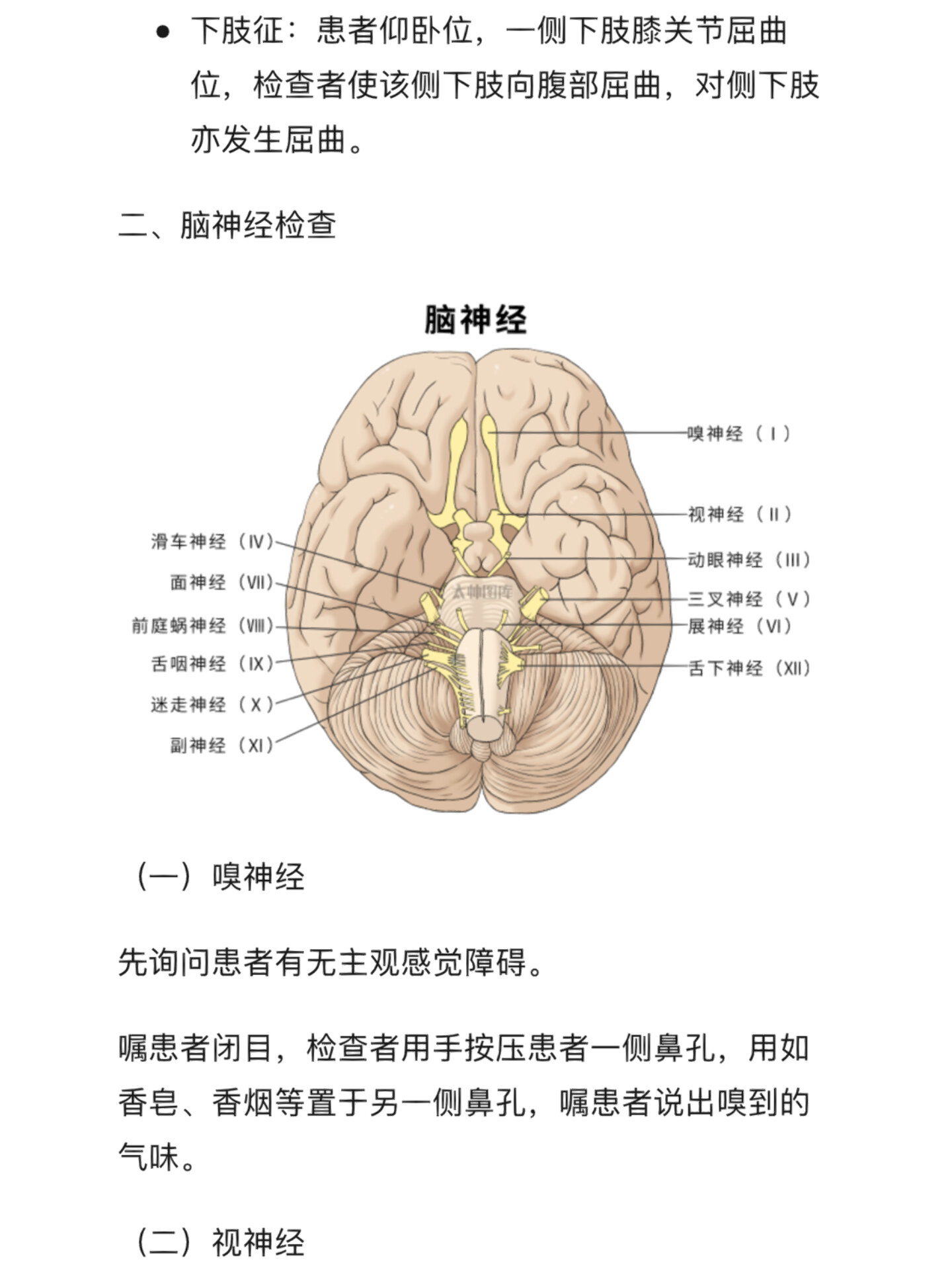 颅神经查体图片