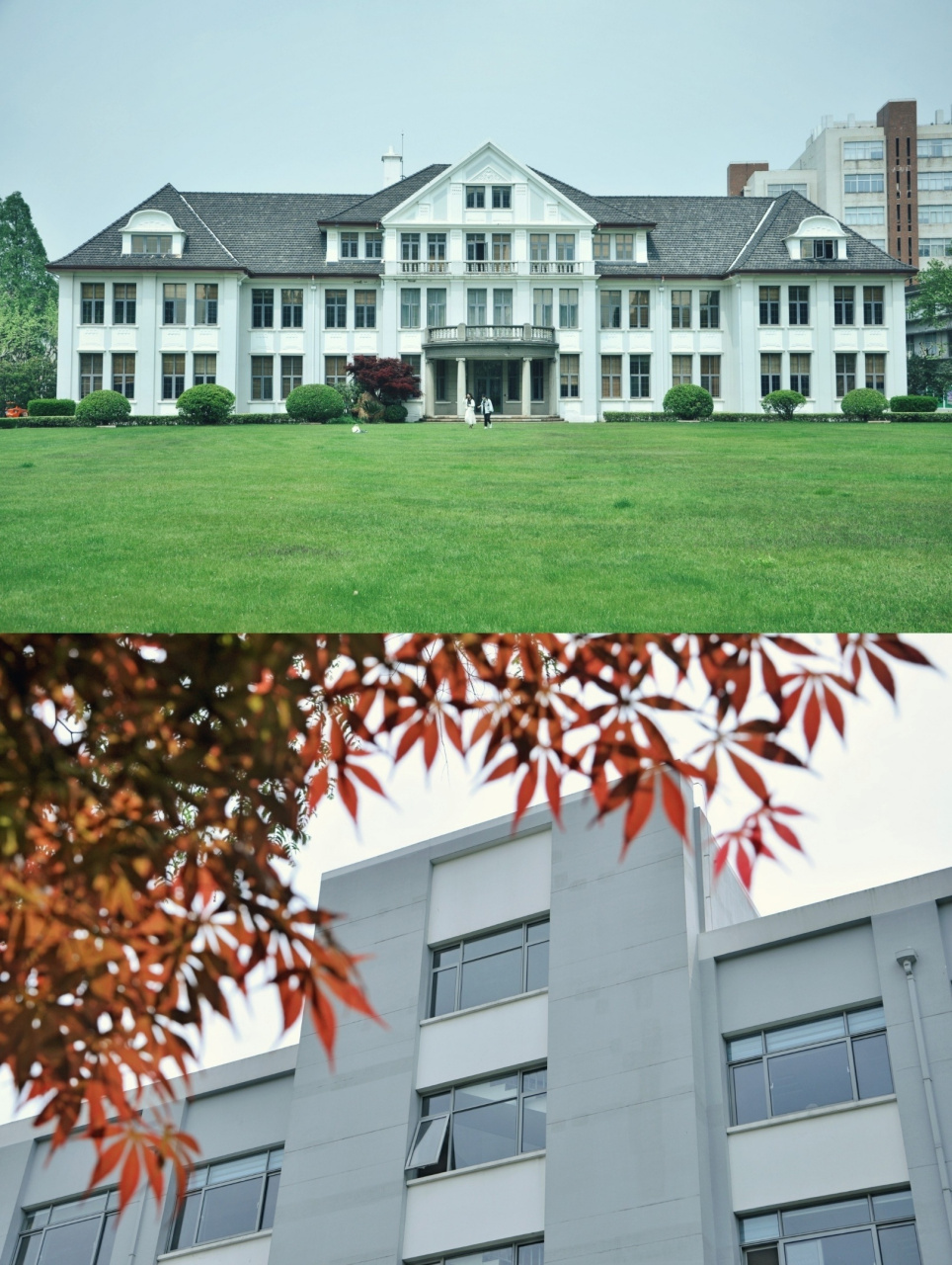 【上海(二)】复旦大学邯郸校区:梦校 复旦大学,它曾是你的梦校吗?