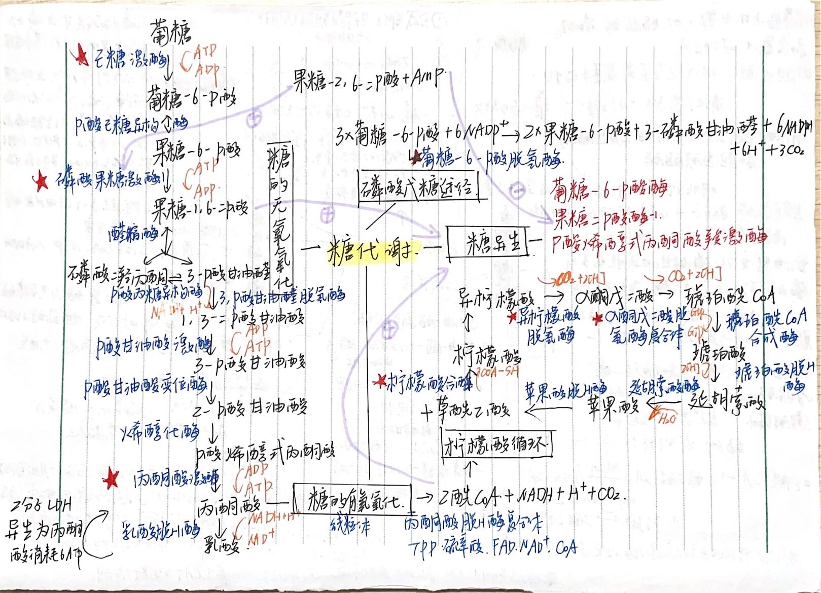 生物化学三大代谢思维导图