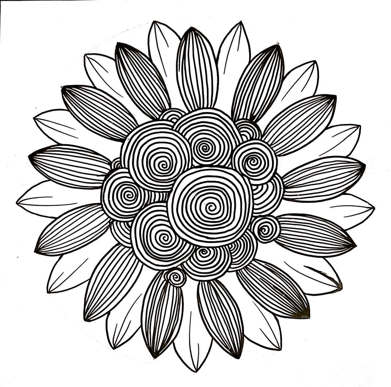 花卉变形 装饰图案课 花卉变形 原创 结课作业 有同样课程的别抄袭!