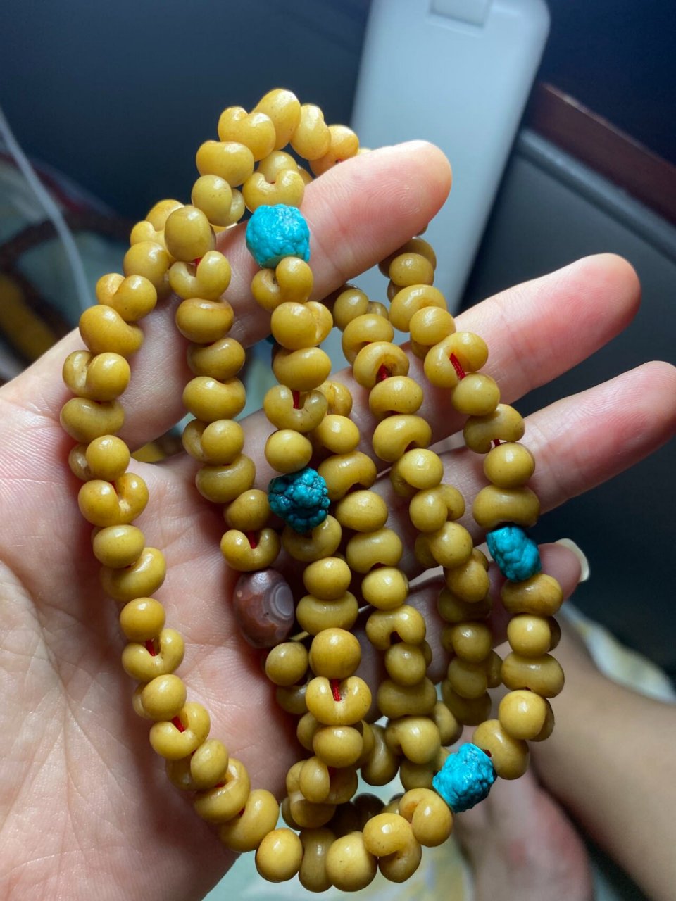 金佛草----觉悟智慧 一草二木三菩提,据说这里的一草有指"金佛草"