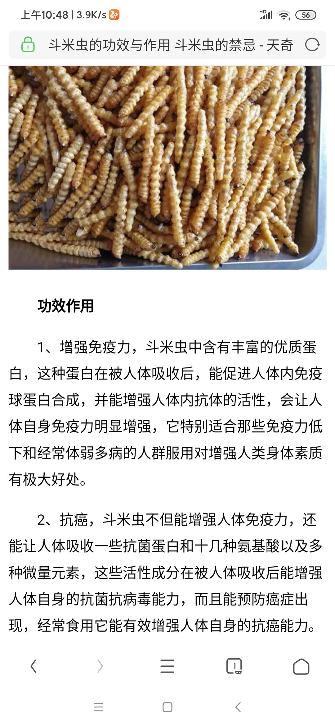 斗米虫的功效与作用.