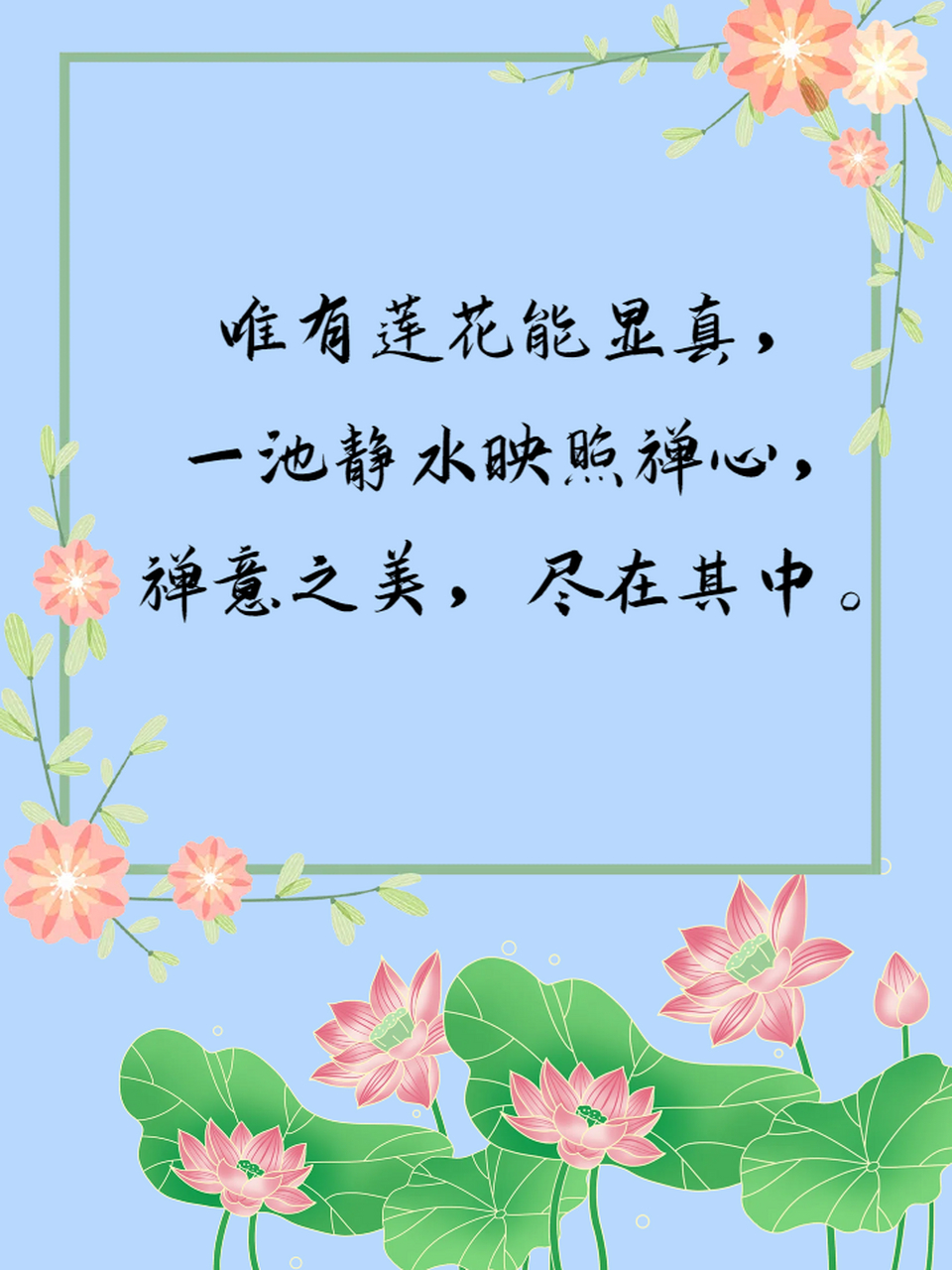 🌺禅意无求,莲花无言.静心品味,唯美至纯.