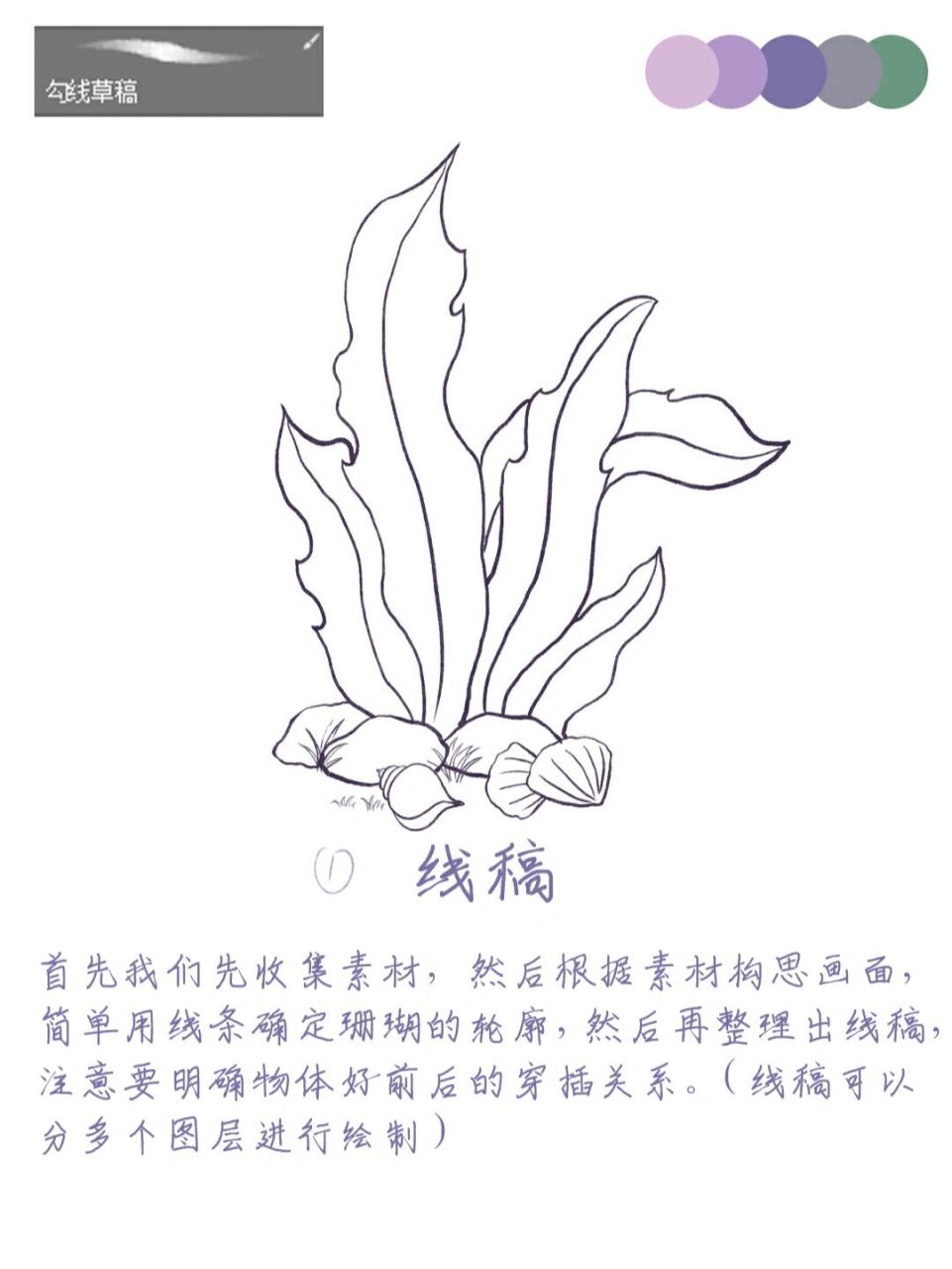 绘画教程|简单四步学会画海带 今天我们画的海带,选择了紫色为主色调