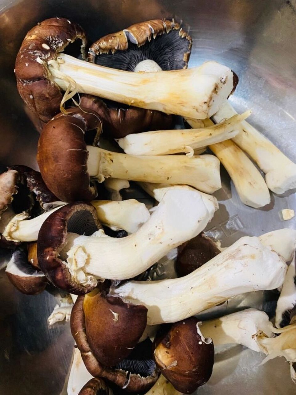 【蘑菇干-大脚菌】 做法: 大脚菌去泥脚洗净沥干,放干果机筛子,大朵