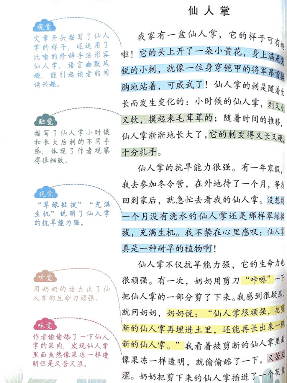 五感法写作文-《仙人掌91》