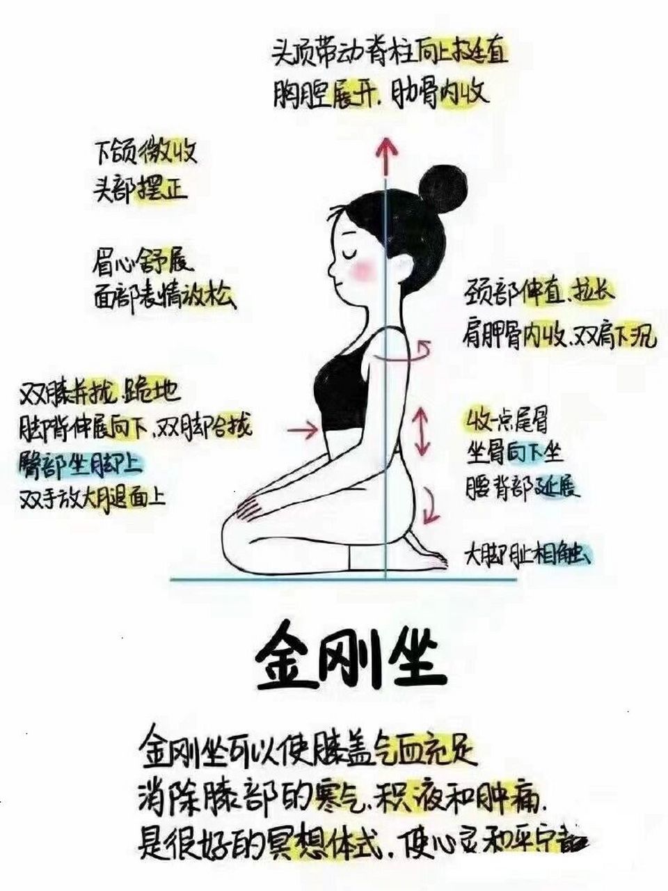 瑜伽小知识分享金刚跪坐 针对经络:胃经,肝经,肺经功效:健脾消食,疏肝