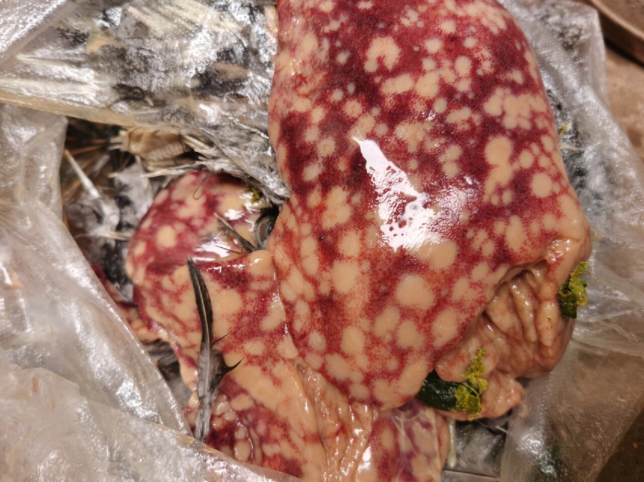 鸡肝这样正常吗?