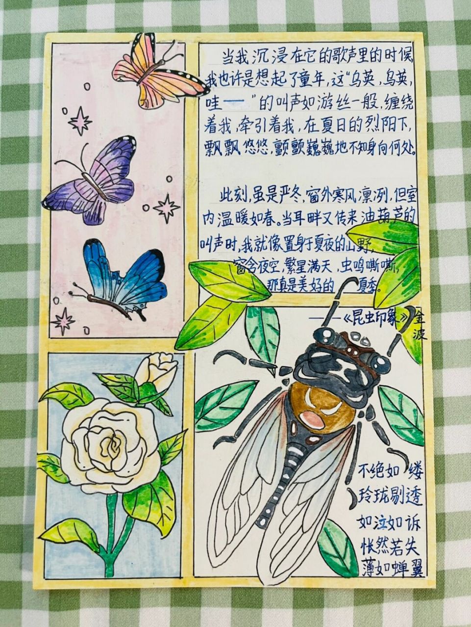 暑假作业之阅读记录卡 每一张都是孩子自己画的,每本书都值得反复阅读