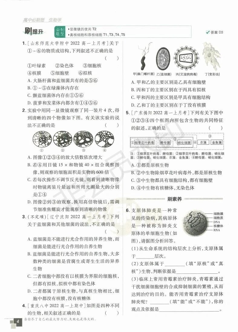 高一必修一生物必刷题