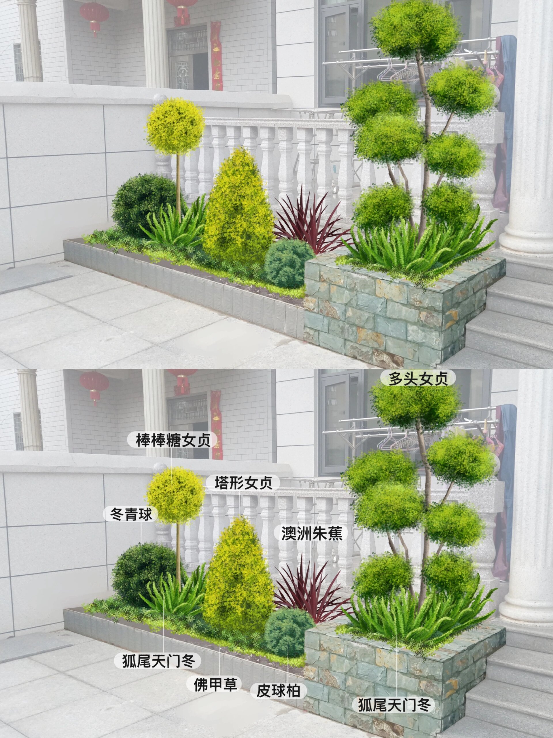 别墅花园/花池花境植物景观设计(含名称)