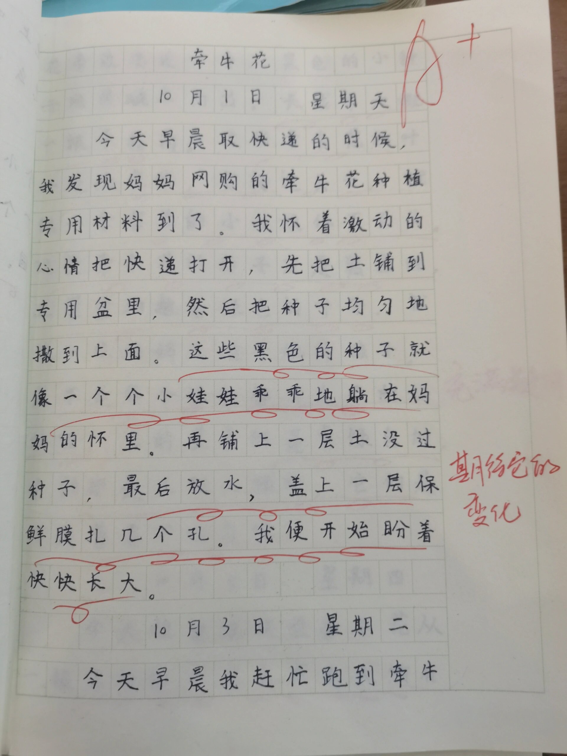 一篇观察植物的日记200字(一篇观察植物的日记200字怎么写)