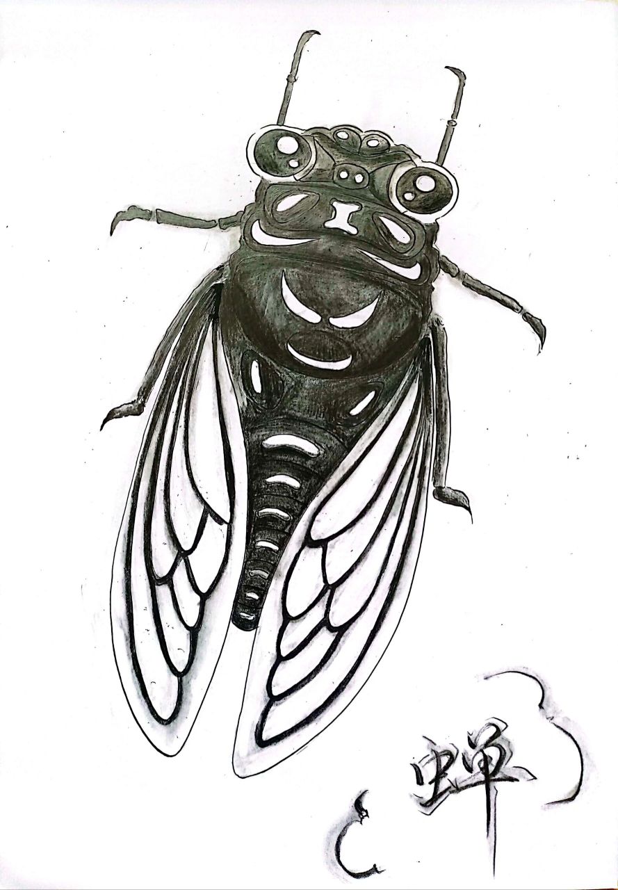 96166150661546615| 蝉‖铅笔7315 96铅笔73