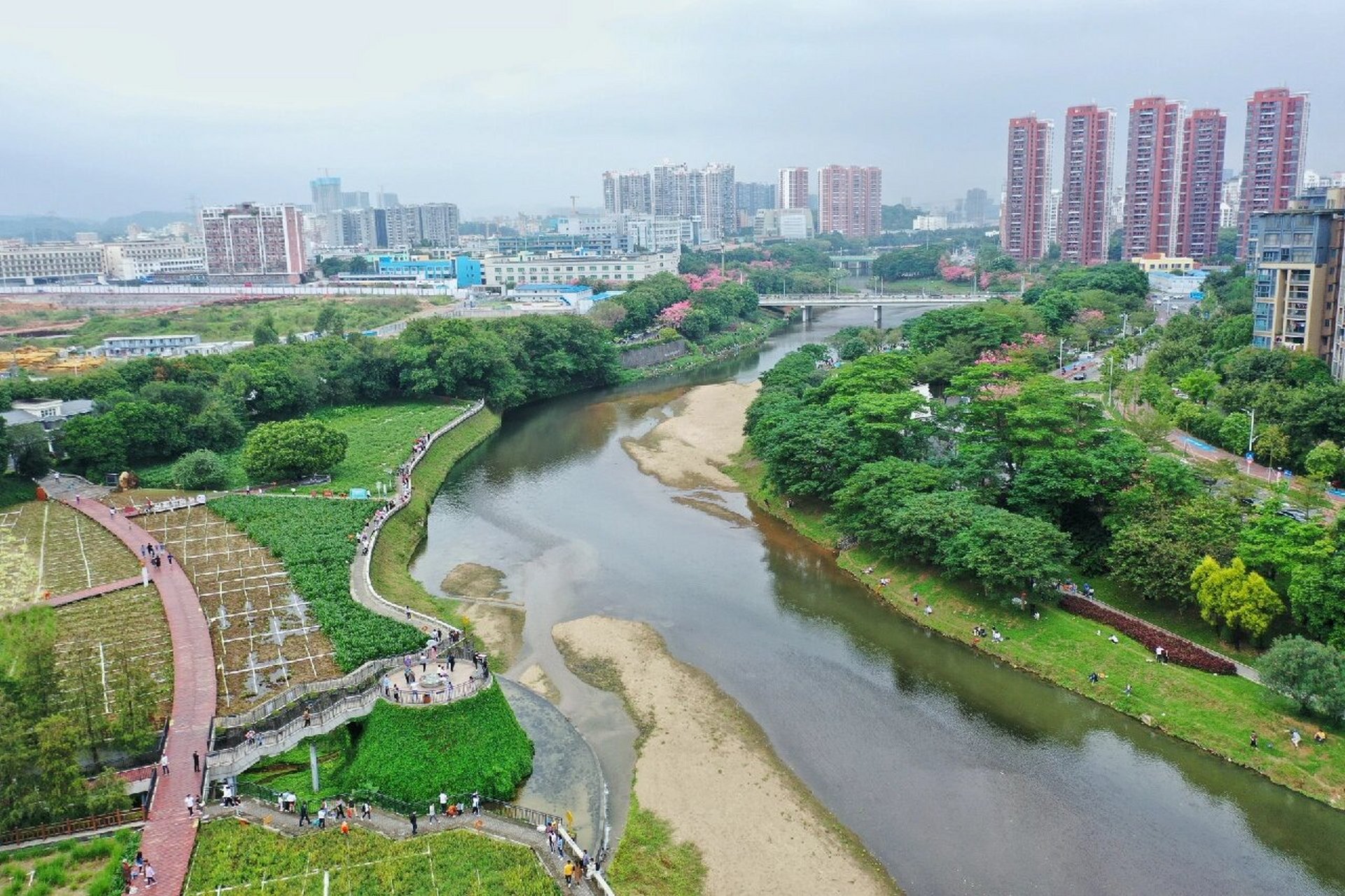 生命之泉~观澜河湿地公园 除了花草,充斥整个公园最多的元素便是水.