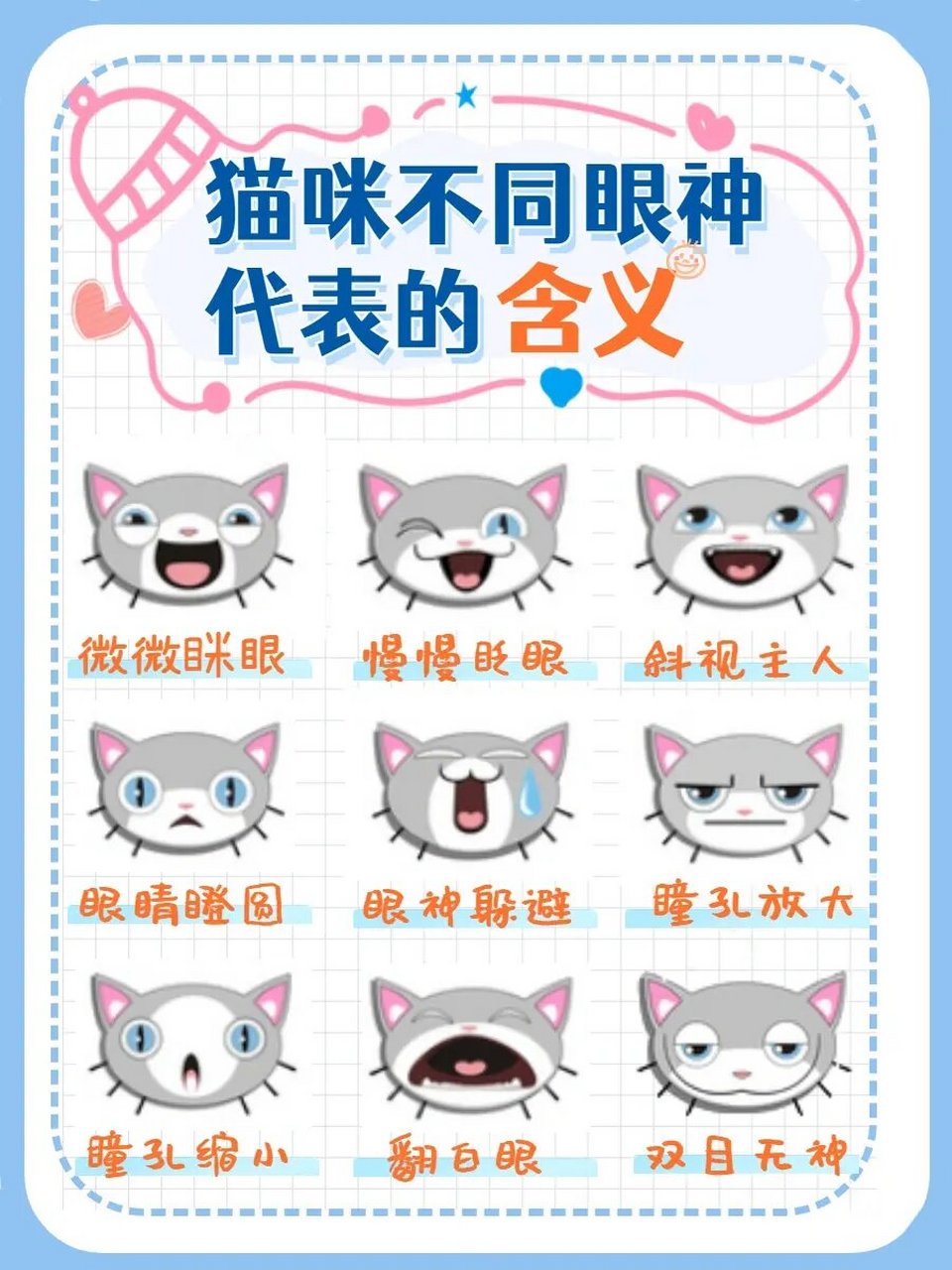 猫咪的瞳孔会根据环境,光线和情绪的变化而改变,今天就带大家了揭一