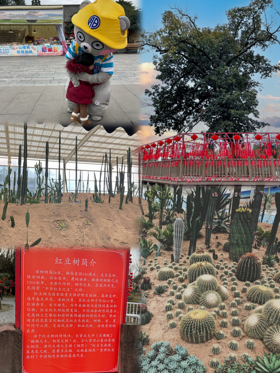 99地址:德阳什邡市师古镇红豆村 07导航:导航德阳什邡市红豆村