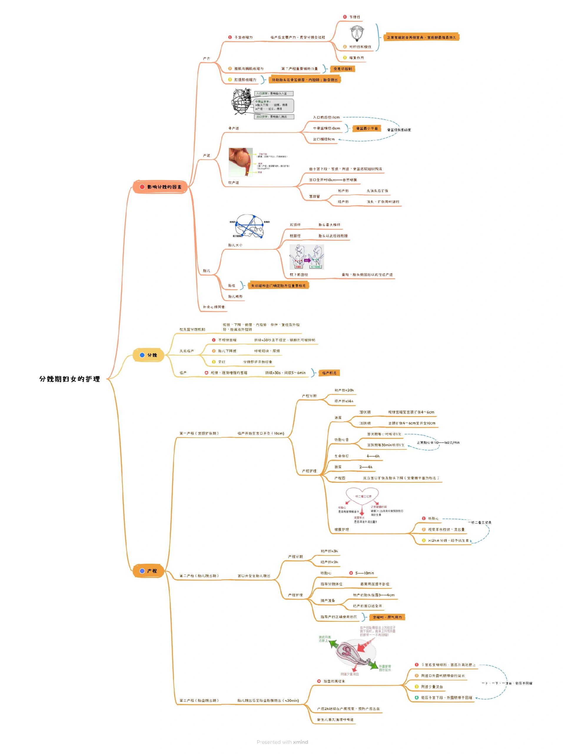 妇产科护理学思维导图