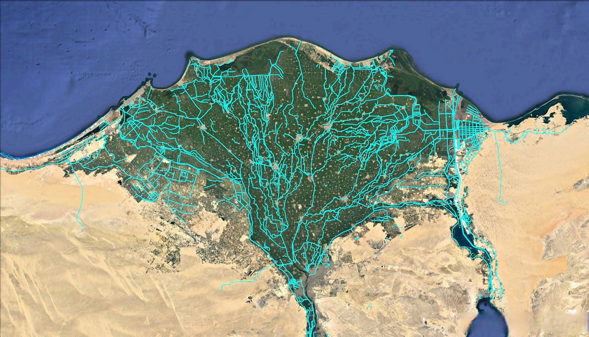 尼罗河三角洲的运河分布图 #埃及##尼罗河