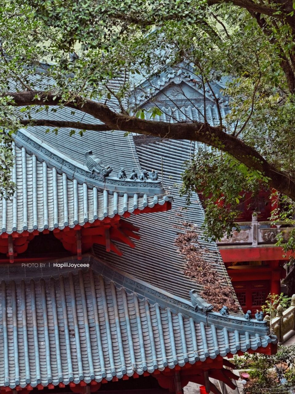 清远飞来寺🎏依山而建的绝美寺庙·祈福徒步 『庙里烟火旺盛,众生祈