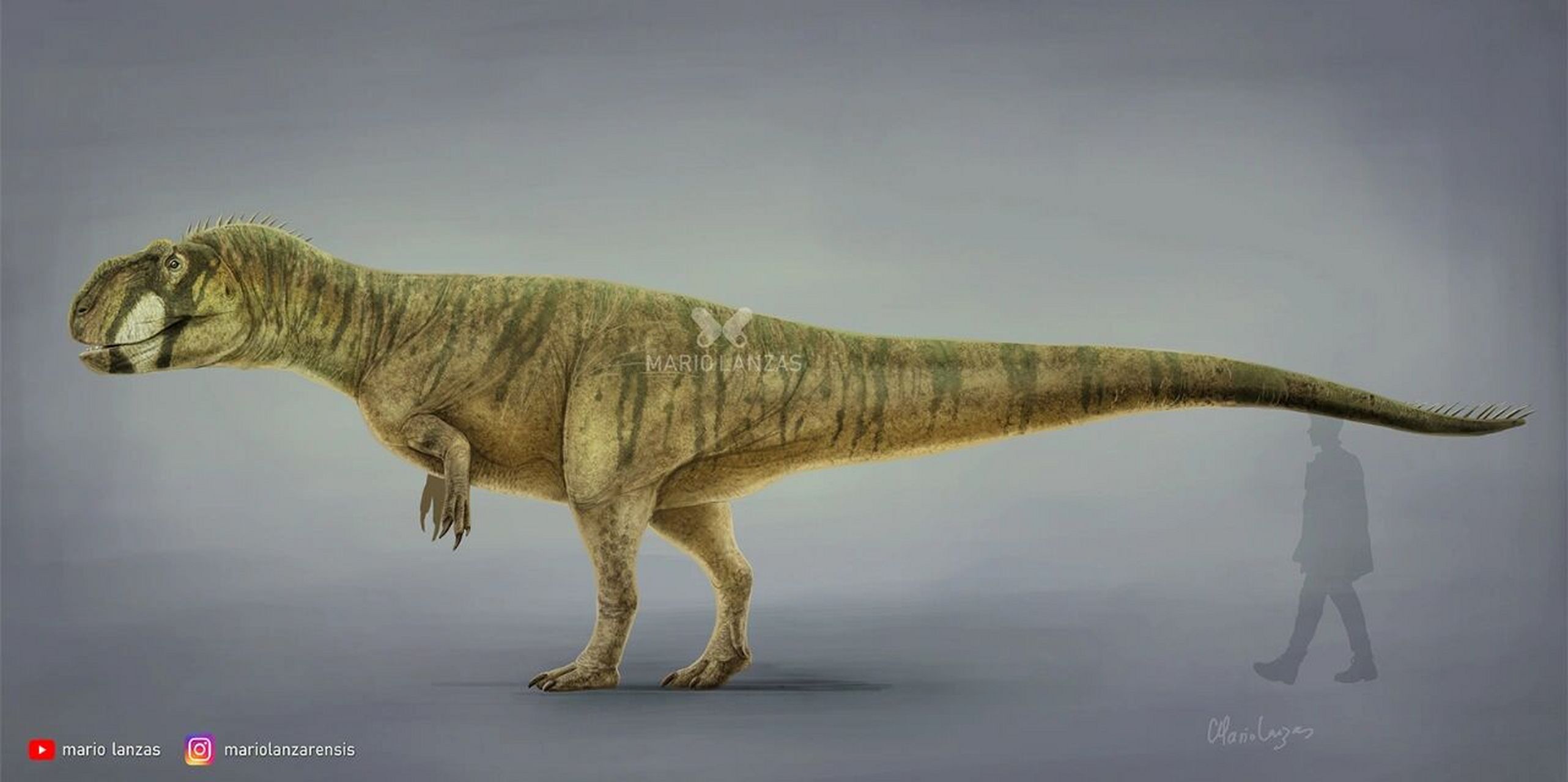 永川龙 上游永川龙 yangchuansaurus shangyouensis恐龙总目-蜥臀目