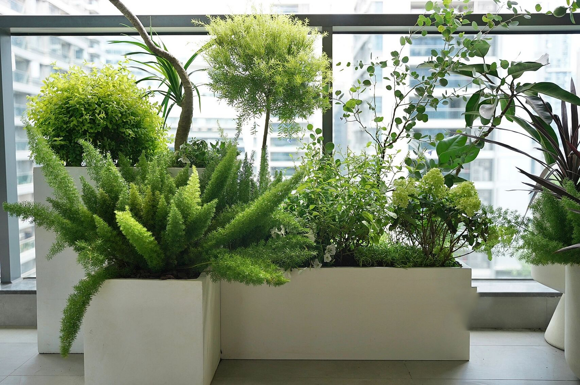 杭州露台植物设计| 大家的梦中阳台 步骤如下 我们根据整体色调,浅