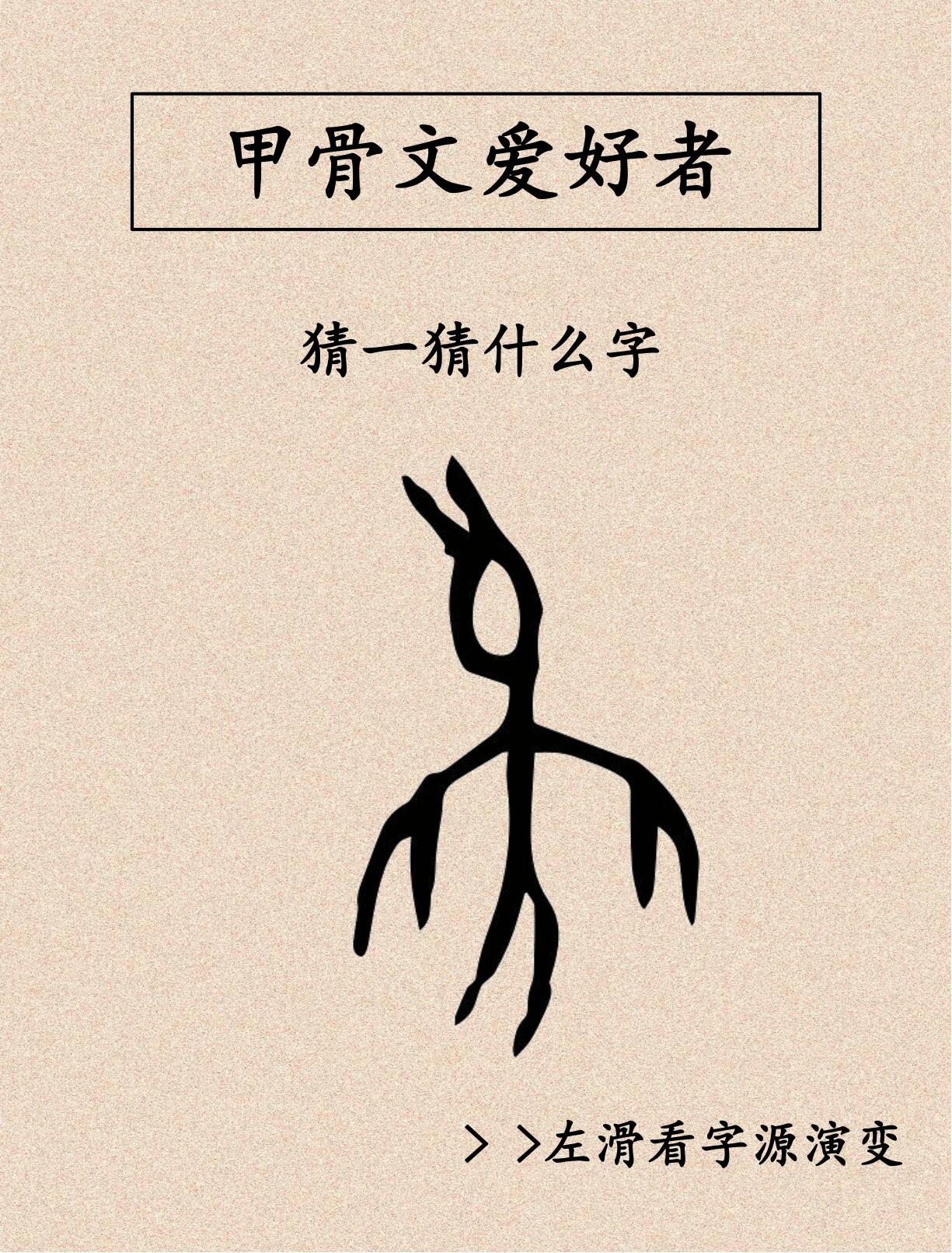 每天学习一个甲骨文  甲骨文象燕子有喙,张开两翅,尾部分叉(或称枝尾)