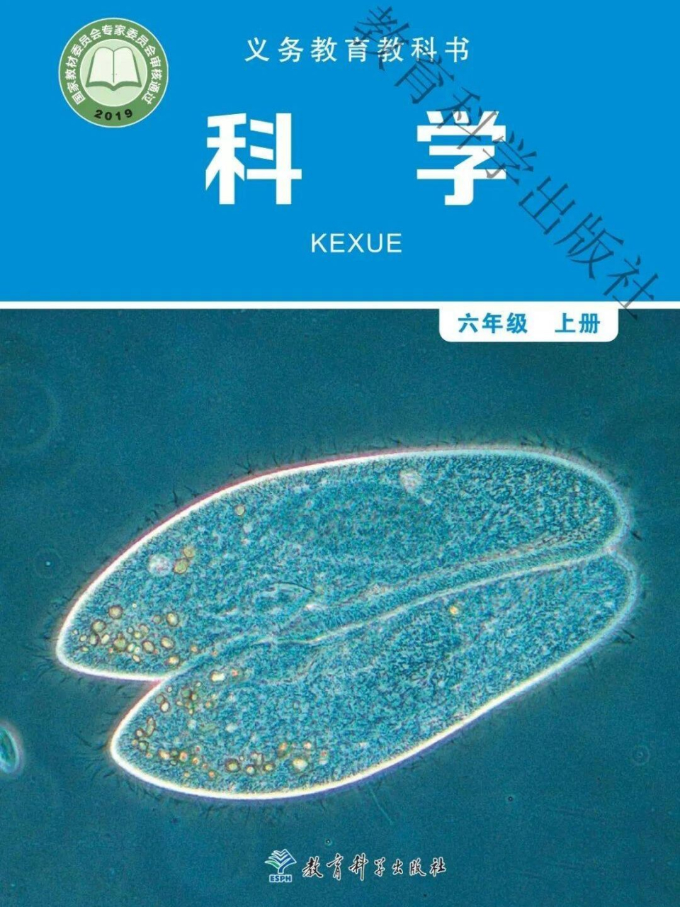 教科版六年级科学 上册复习资料 教科版六年级上册复习资料 需要的请