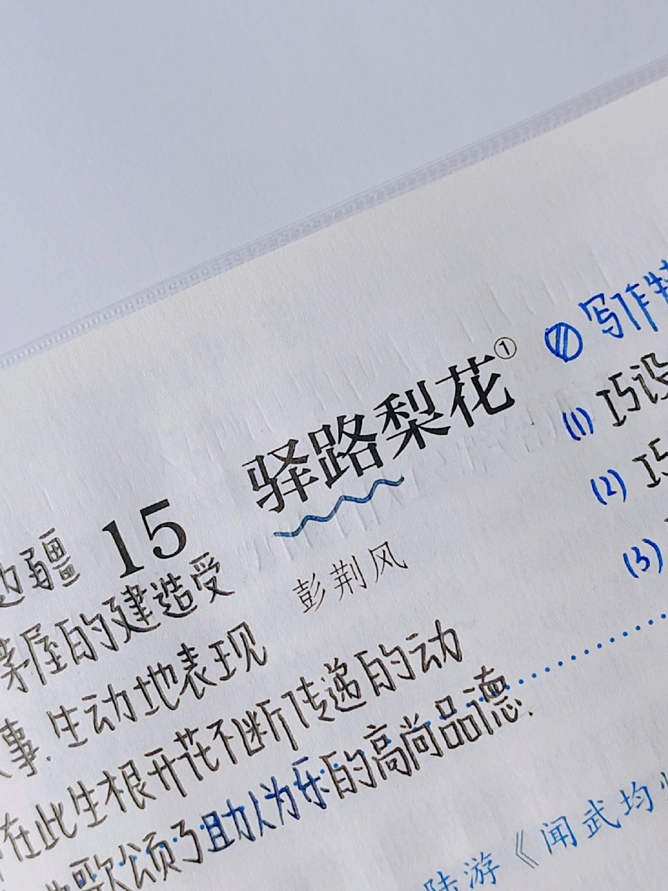 七年级下册|语文|第15课|驿路梨花 第15课语文书面笔记更新了 有贝贝